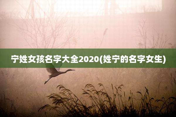 宁姓女孩名字大全2020(姓宁的名字女生)