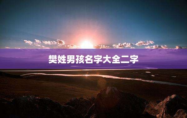 樊姓男孩名字大全二字