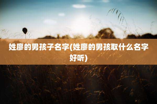 姓廖的男孩子名字(姓廖的男孩取什么名字好听)