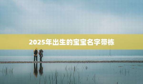 2025年出生的宝宝名字带栋