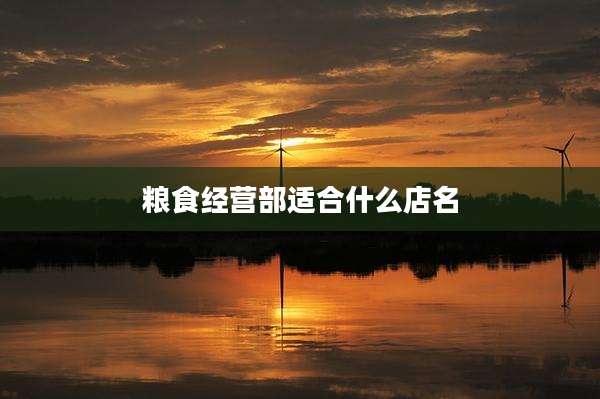 粮食经营部适合什么店名