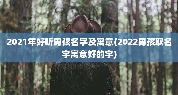 2021年好听男孩名字及寓意(2022男孩取名字寓意好的字)