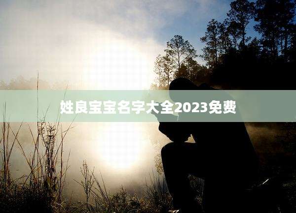 姓良宝宝名字大全2023免费
