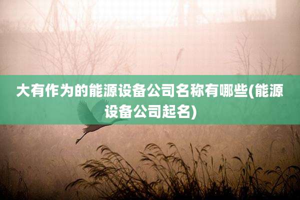 大有作为的能源设备公司名称有哪些(能源设备公司起名)