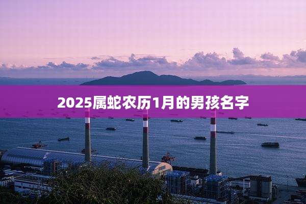 2025属蛇农历1月的男孩名字