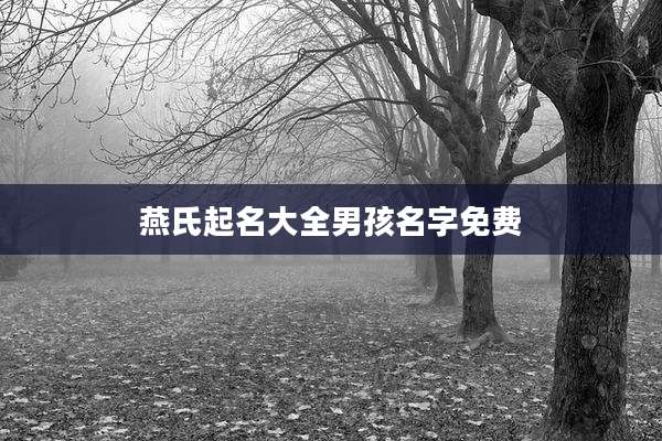 燕氏起名大全男孩名字免费