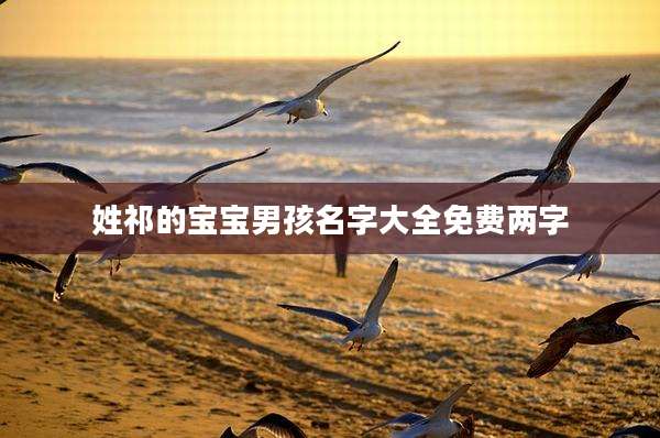 姓祁的宝宝男孩名字大全免费两字