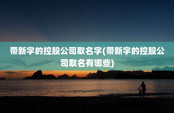 带新字的控股公司取名字(带新字的控股公司取名有哪些)
