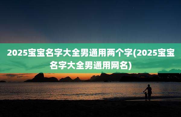 2025宝宝名字大全男通用两个字(2025宝宝名字大全男通用网名)
