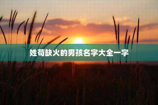 姓苟缺火的男孩名字大全一字