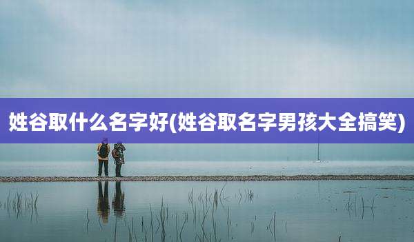 姓谷取什么名字好(姓谷取名字男孩大全搞笑)