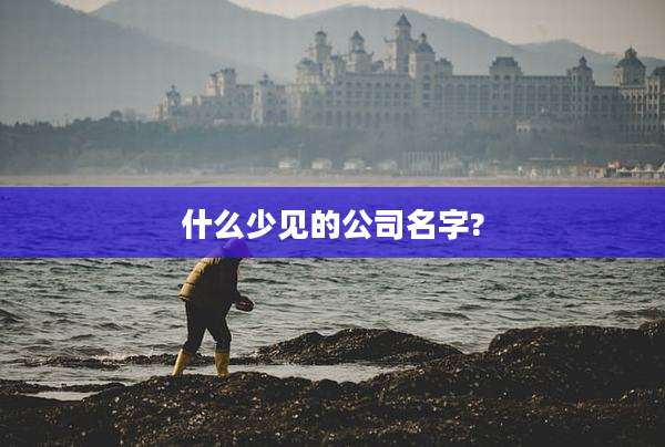 什么少见的公司名字?