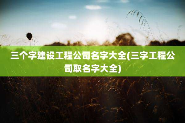 三个字建设工程公司名字大全(三字工程公司取名字大全)