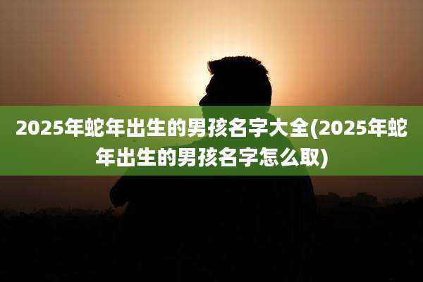 2025年蛇年出生的男孩名字大全(2025年蛇年出生的男孩名字怎么取)