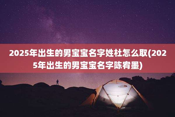 2025年出生的男宝宝名字姓杜怎么取(2025年出生的男宝宝名字陈宥墨)