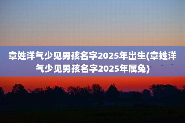 章姓洋气少见男孩名字2025年出生(章姓洋气少见男孩名字2025年属兔)