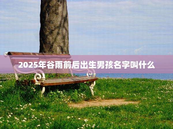 2025年谷雨前后出生男孩名字叫什么
