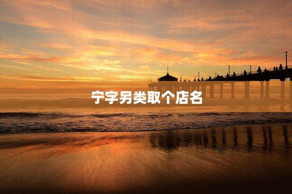 宁字另类取个店名