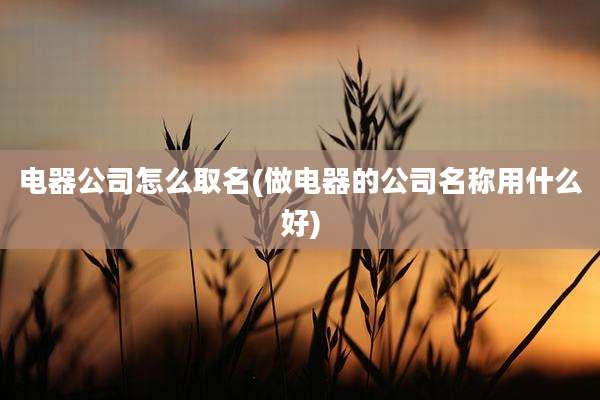电器公司怎么取名(做电器的公司名称用什么好)