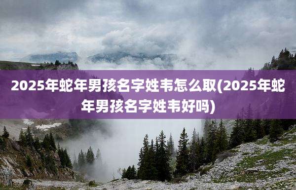 2025年蛇年男孩名字姓韦怎么取(2025年蛇年男孩名字姓韦好吗)
