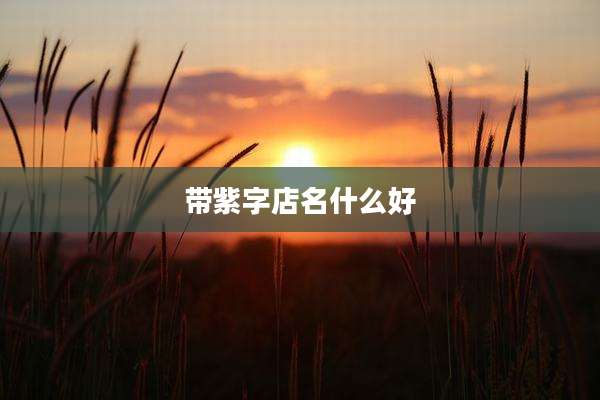 带紫字店名什么好