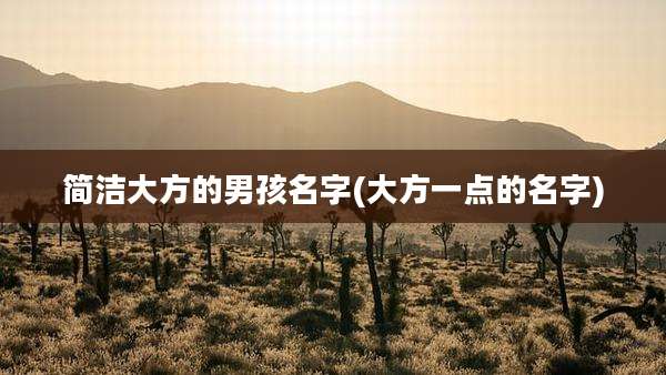简洁大方的男孩名字(大方一点的名字)