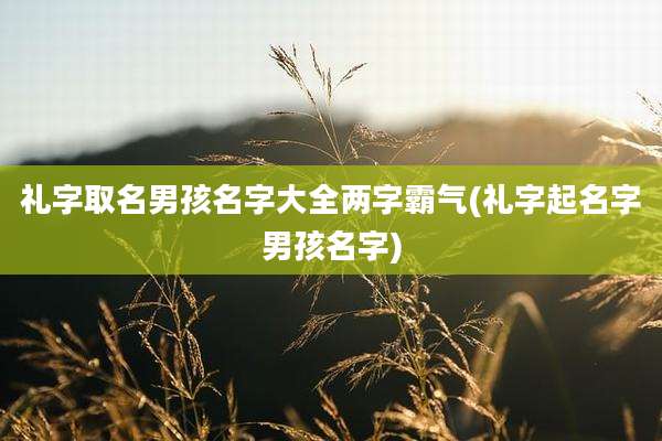 礼字取名男孩名字大全两字霸气(礼字起名字男孩名字)