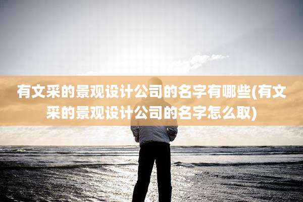 有文采的景观设计公司的名字有哪些(有文采的景观设计公司的名字怎么取)