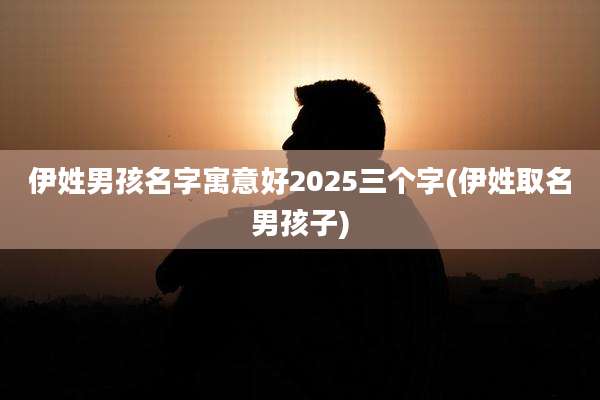 伊姓男孩名字寓意好2025三个字(伊姓取名男孩子)