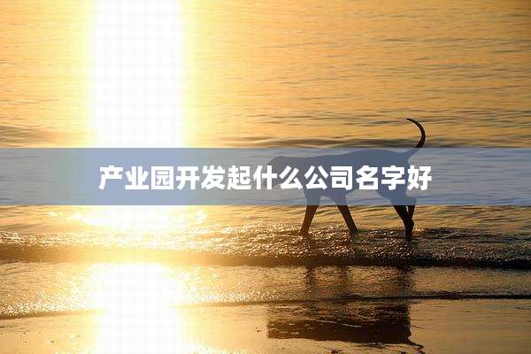 产业园开发起什么公司名字好