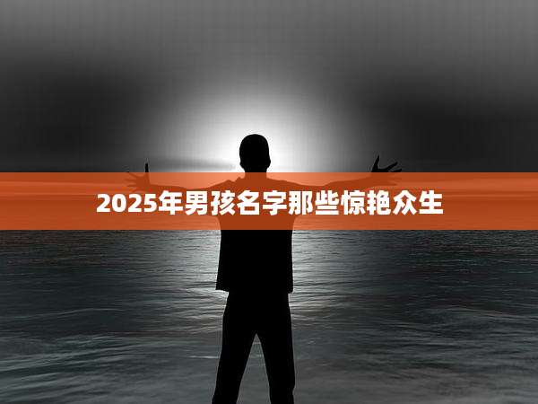 2025年男孩名字那些惊艳众生