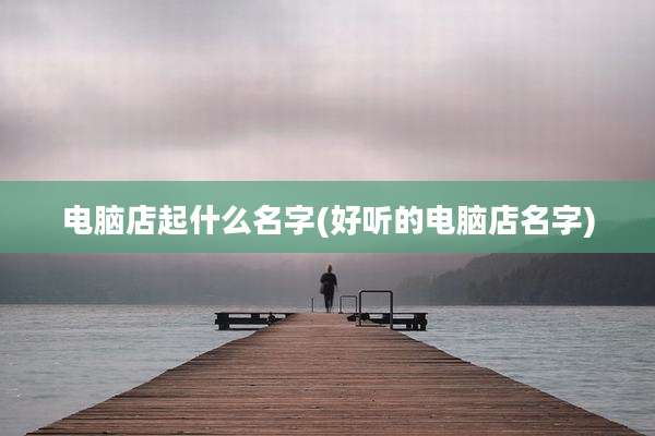 电脑店起什么名字(好听的电脑店名字)