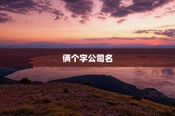 俩个字公司名