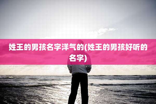 姓王的男孩名字洋气的(姓王的男孩好听的名字)