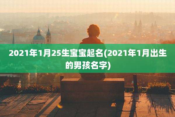 2021年1月25生宝宝起名(2021年1月出生的男孩名字)