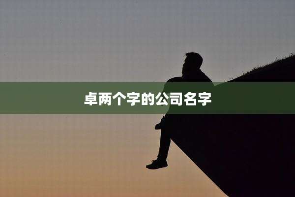 卓两个字的公司名字