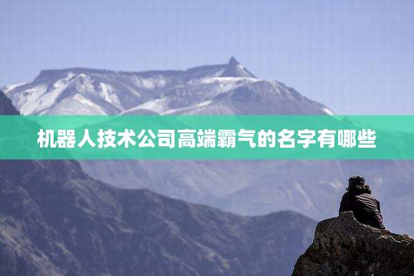 机器人技术公司高端霸气的名字有哪些