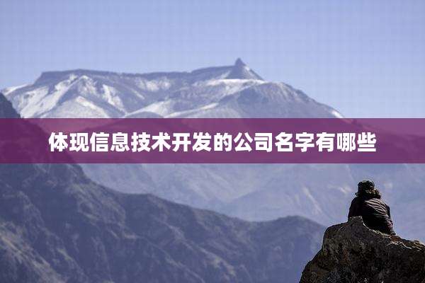 体现信息技术开发的公司名字有哪些