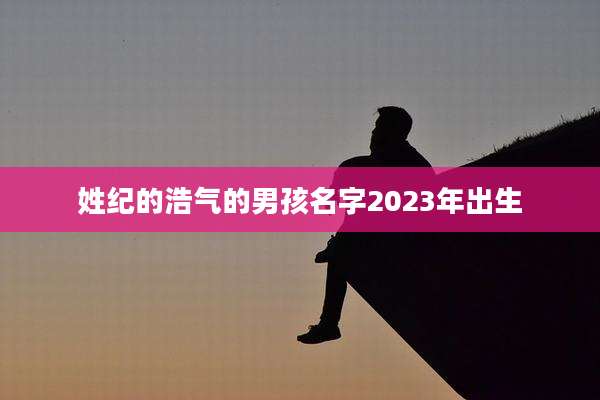 姓纪的浩气的男孩名字2023年出生