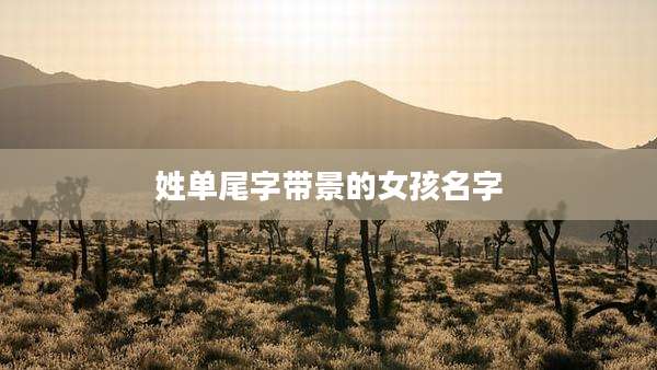 姓单尾字带景的女孩名字