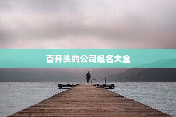 首开头的公司起名大全