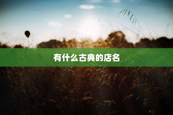 有什么古典的店名