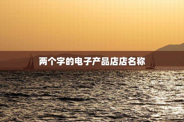 两个字的电子产品店店名称