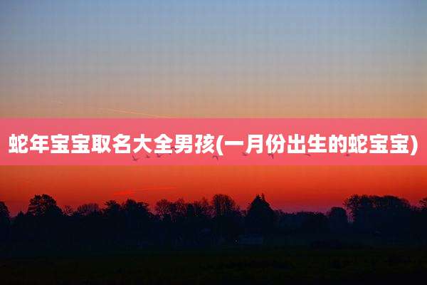 蛇年宝宝取名大全男孩(一月份出生的蛇宝宝)