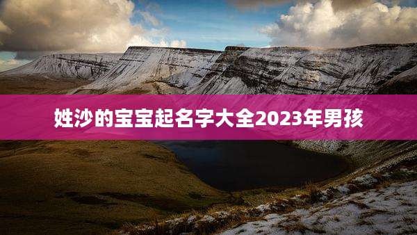 姓沙的宝宝起名字大全2023年男孩