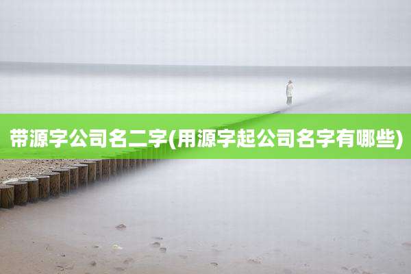 带源字公司名二字(用源字起公司名字有哪些)