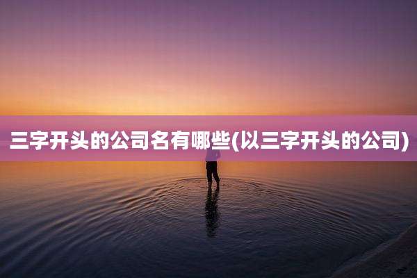 三字开头的公司名有哪些(以三字开头的公司)