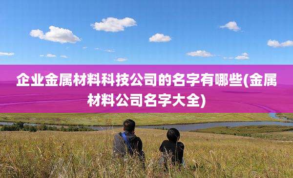企业金属材料科技公司的名字有哪些(金属材料公司名字大全)