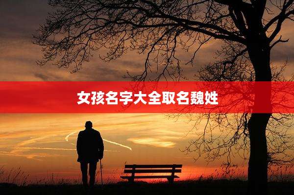 女孩名字大全取名魏姓