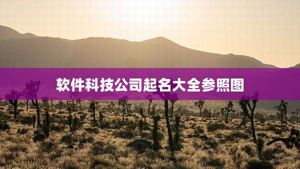 软件科技公司起名大全参照图